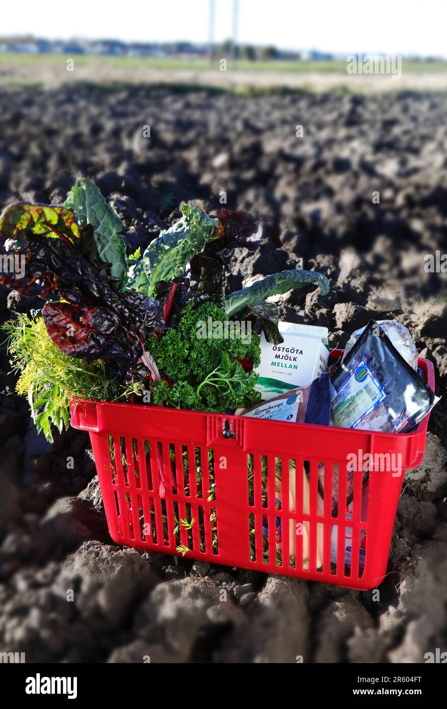 A food basket with locally produced food Stock Photo Alamy