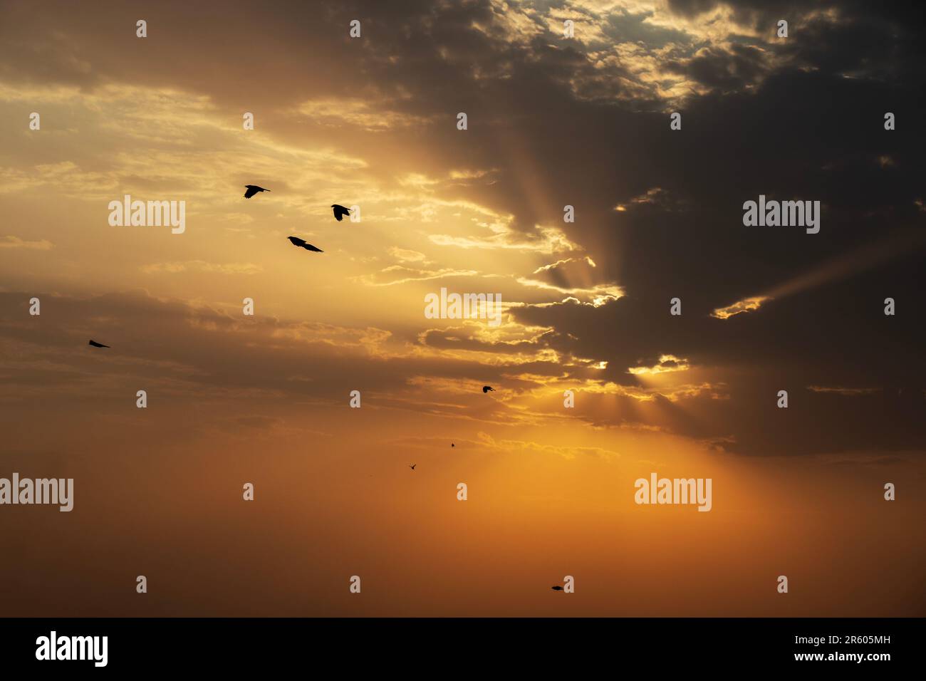 Sunset dramatic sky with clouds Stock Photo