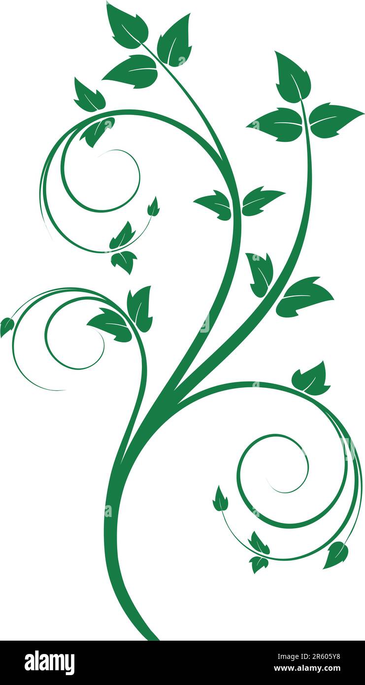 illustration of Floral ornament Stock Vector Image & Art - Alamy