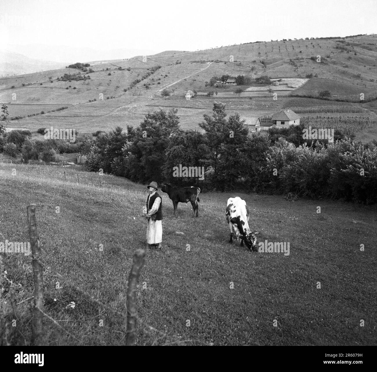 Transylvania, Romania, approx. 1980. Elderly man in traditional