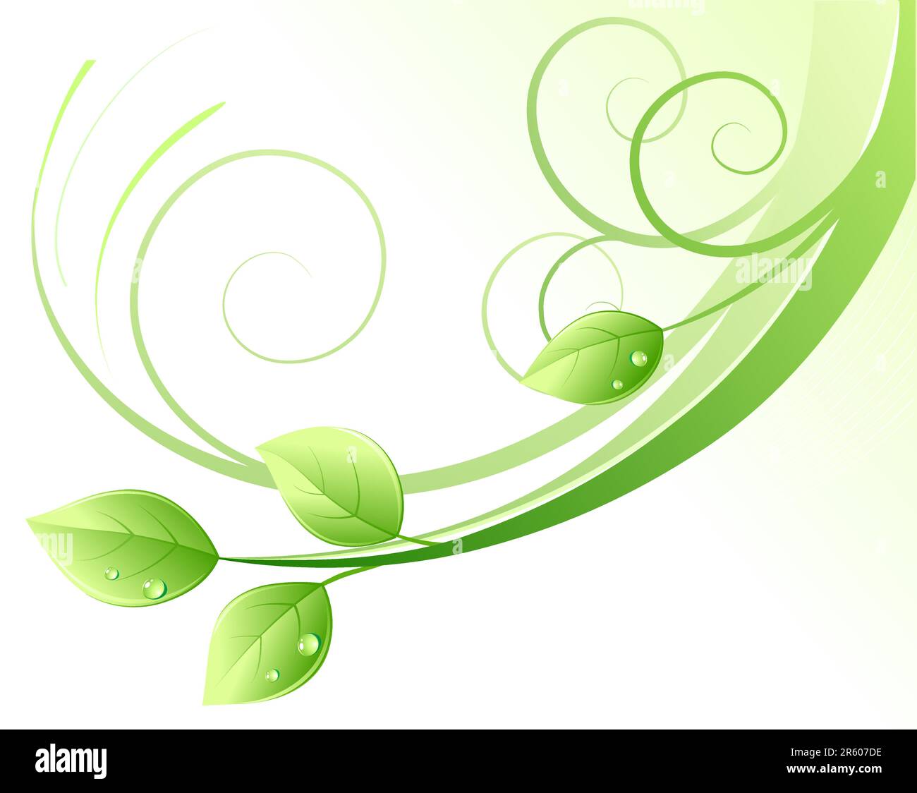 Vector illustration of green abstract background and leaves with water