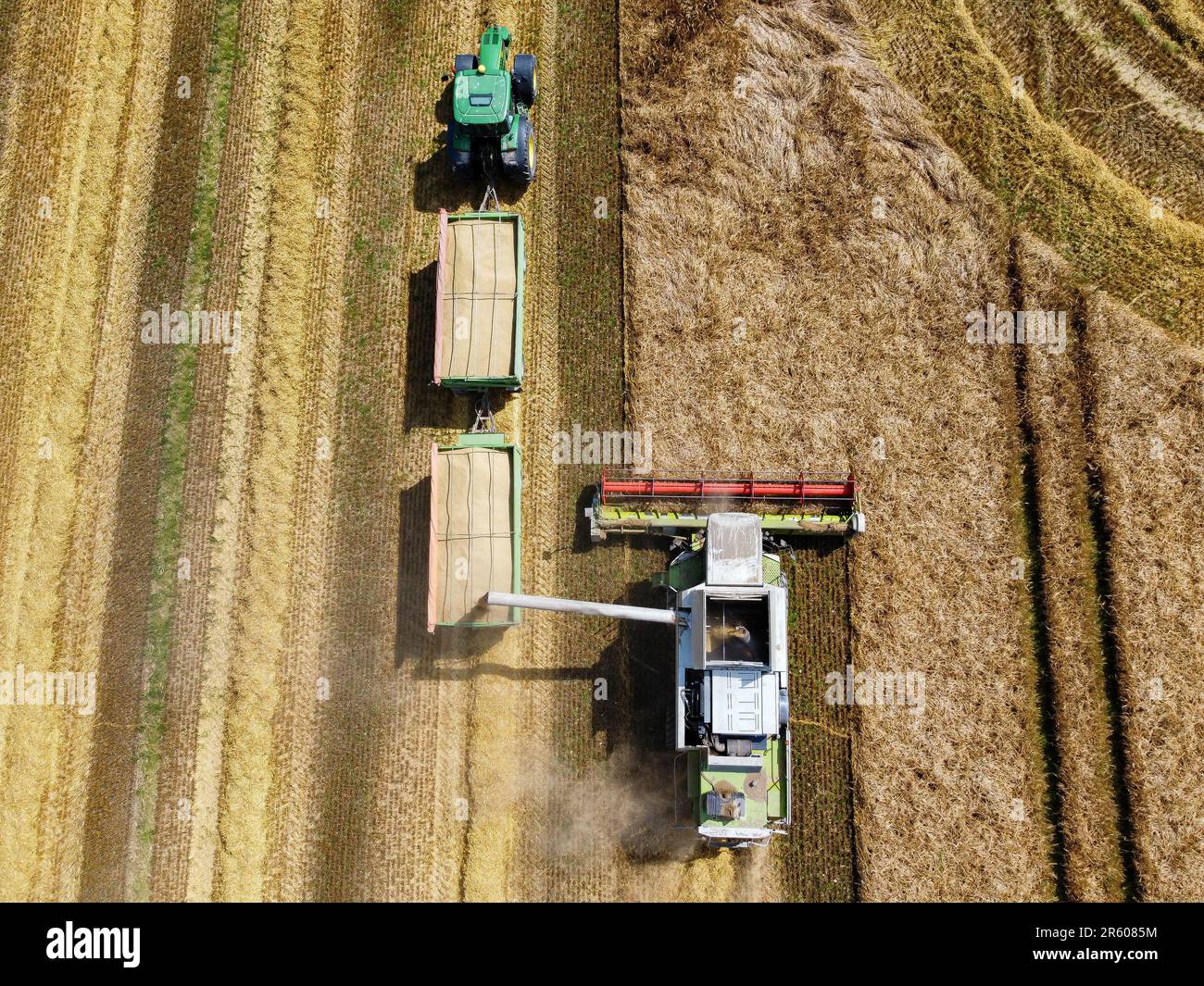 Combine harvester harvesting in a wheat field 01 Stock Photo - Alamy