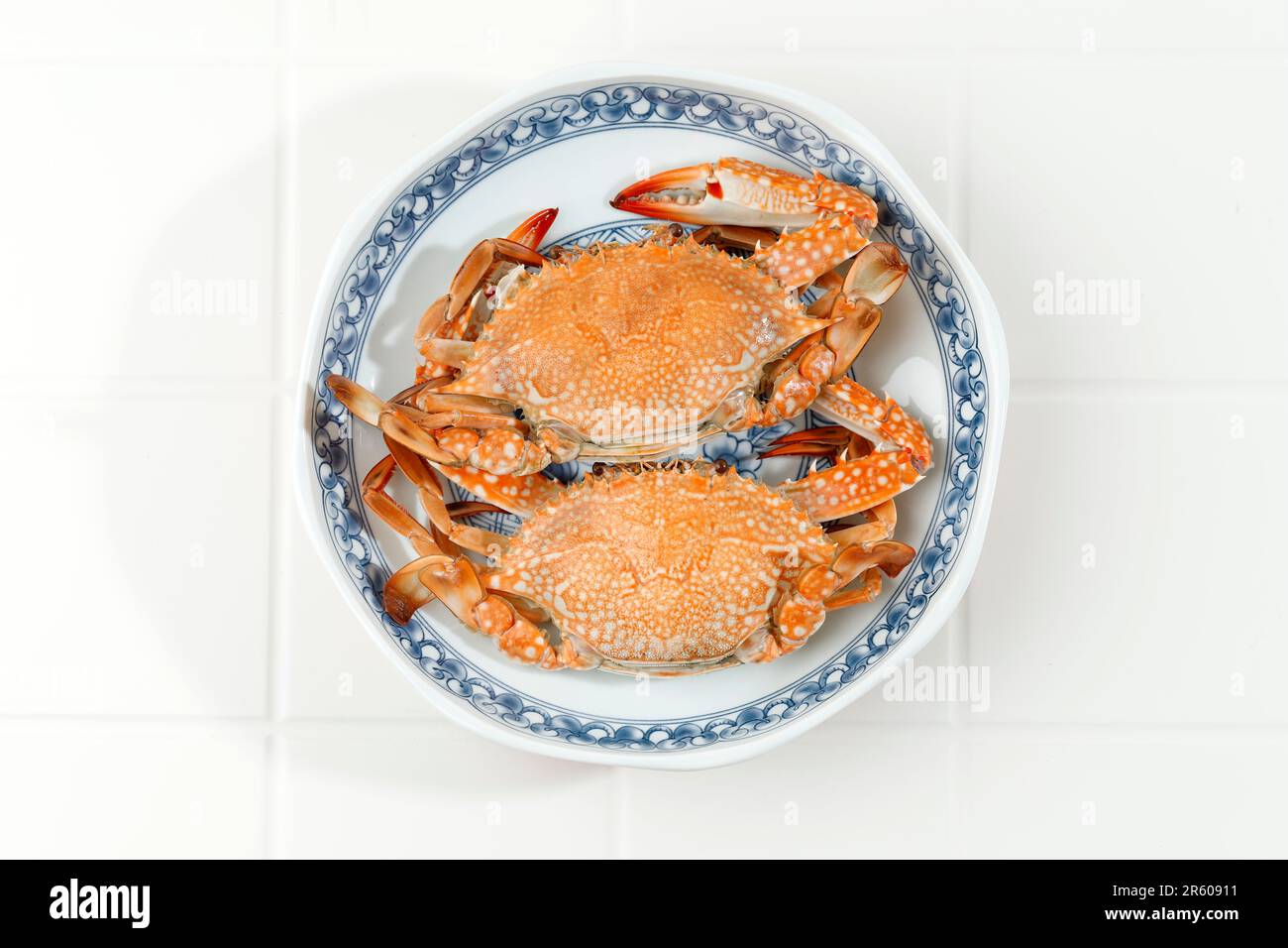 Hot Steamed Blue Swimming on Ceramic Plate. Flower Crab or Blue Crab or Blue Manna Sand Crab Stock Photo