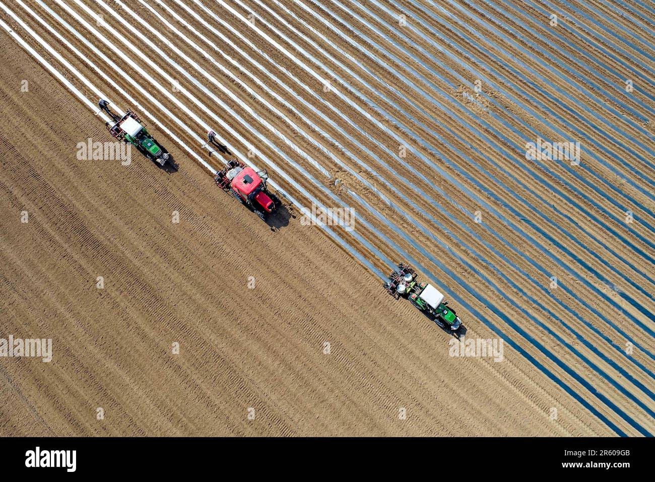 ORDOS, CHINA - JUNE 6, 2023 - An aerial photo shows  farm machines working in a pepper field in Ordos, Inner Mongolia, China, June 6, 2023. Stock Photo