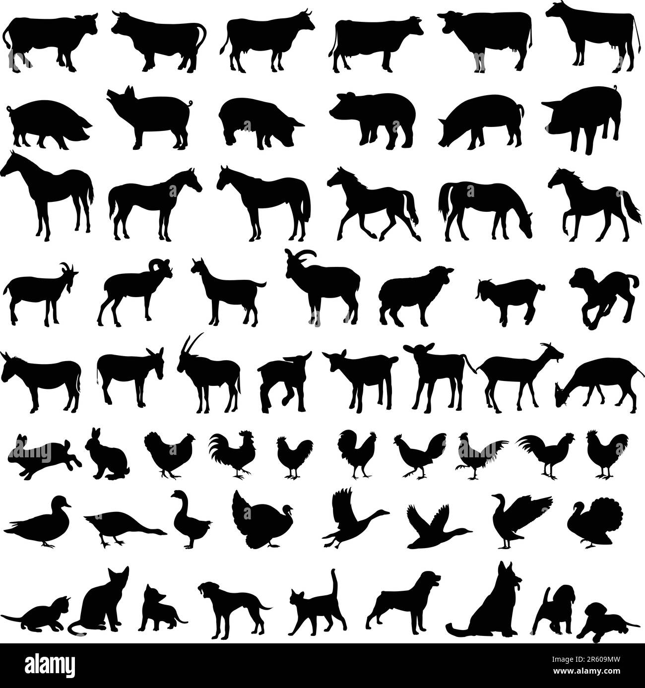 big collection of farm animals silhouettes - vector Stock Vector Image ...