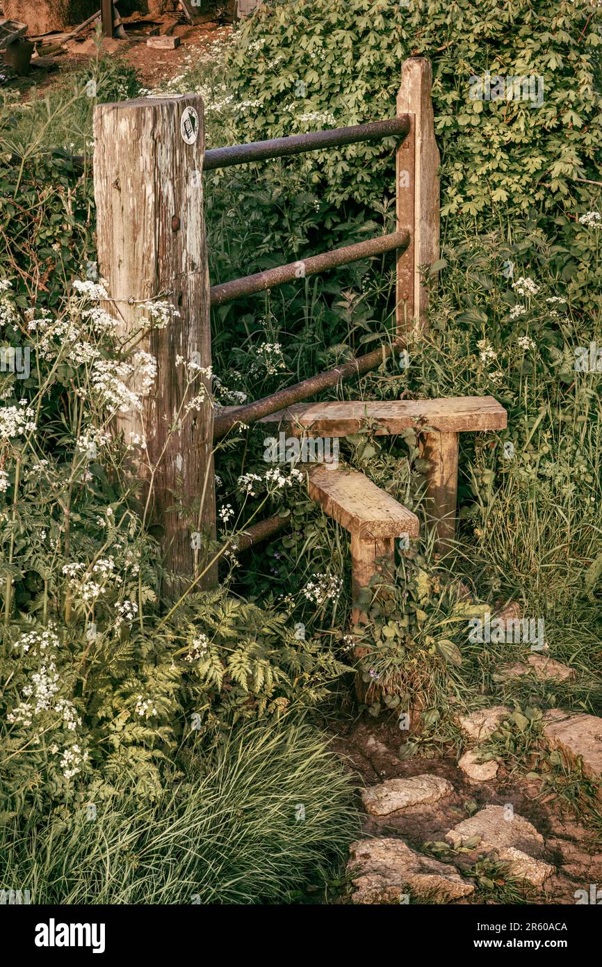 A well worn stile giving right-of-way to a footpath in the rural countryside of Wiltshire. Stock Photo