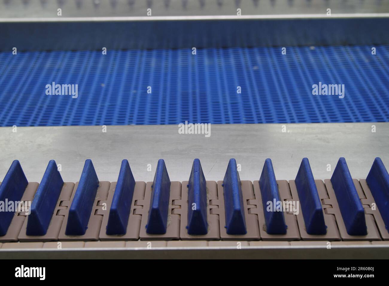 Industrial Processing Fish Conveyor with Spacer at Sardine Factory
