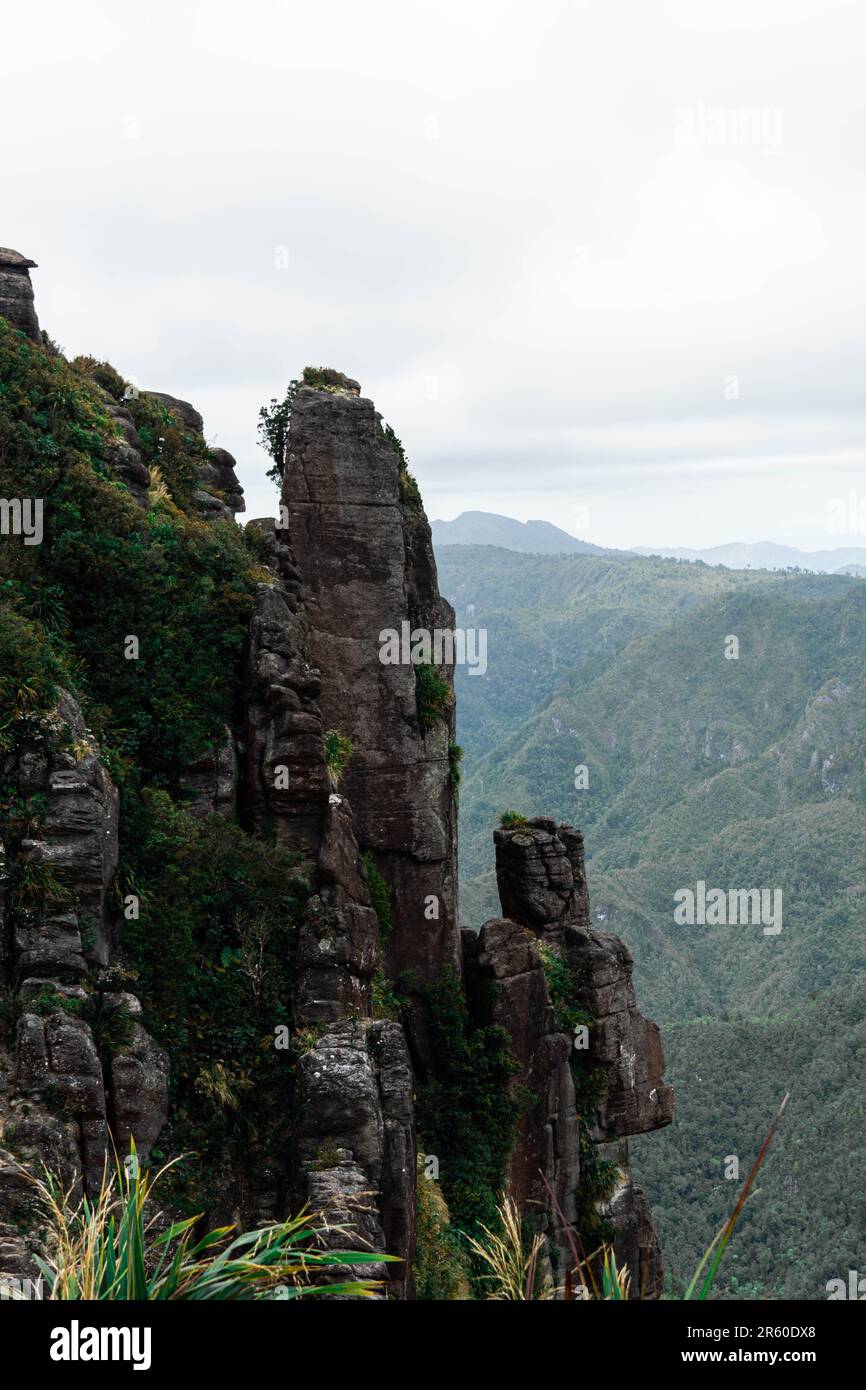 The steep cliff of the Pinnacles, Coromandel, New Zealand with lush