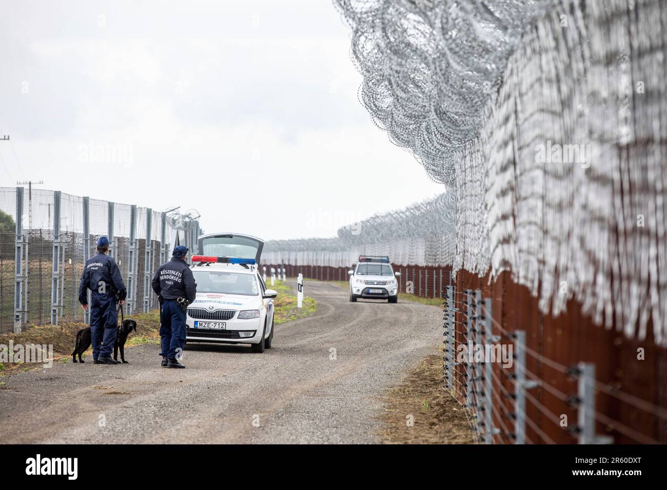 Immediate Security Response and Diplomatic Fallout