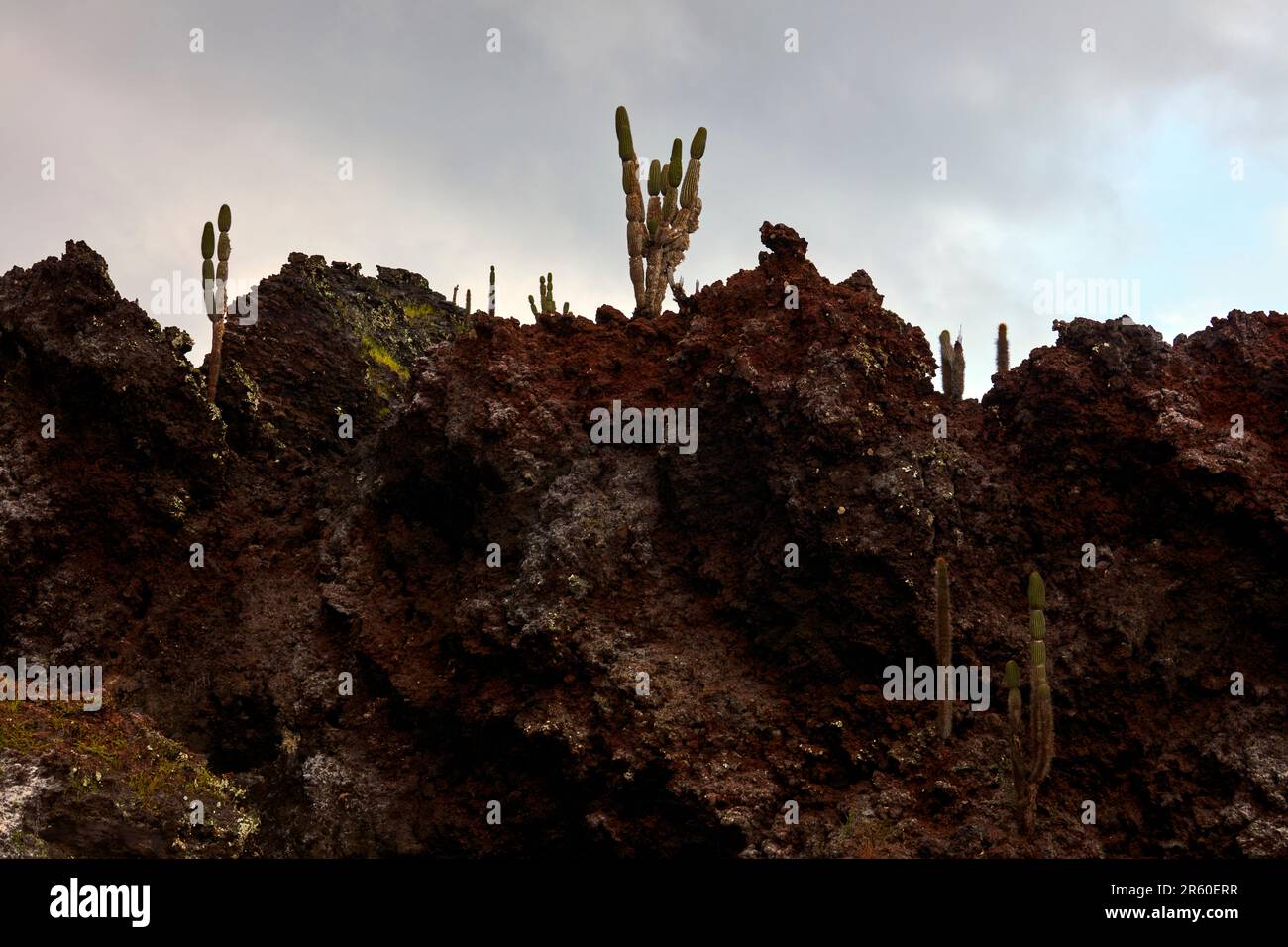 Corona del diablo island off the coast of Floreana island Stock Photo