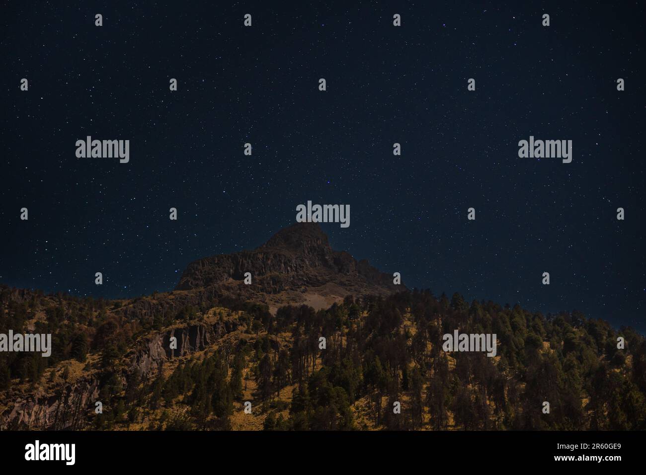 Colima Forests Parque National Volcan Nevado de Colima under the starry sky Stock ...
