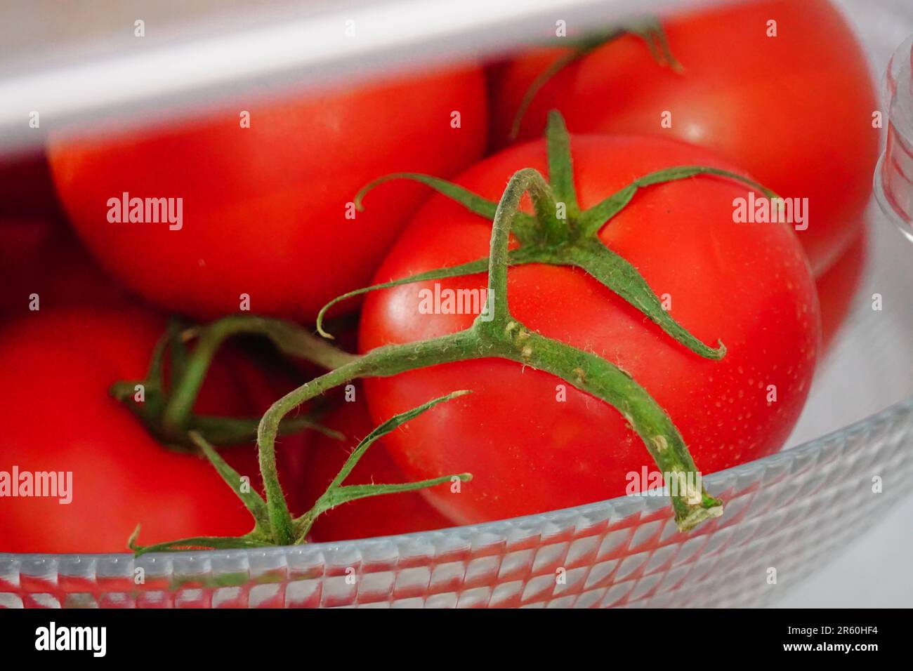 Full up fridge hires stock photography and images Alamy