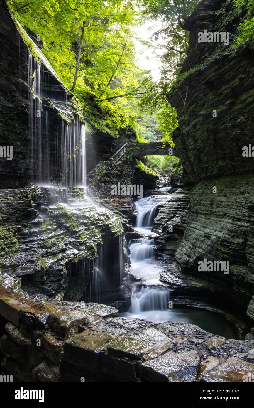 A waterfall cascading down over rocks in forest setting Stock Photo - Alamy