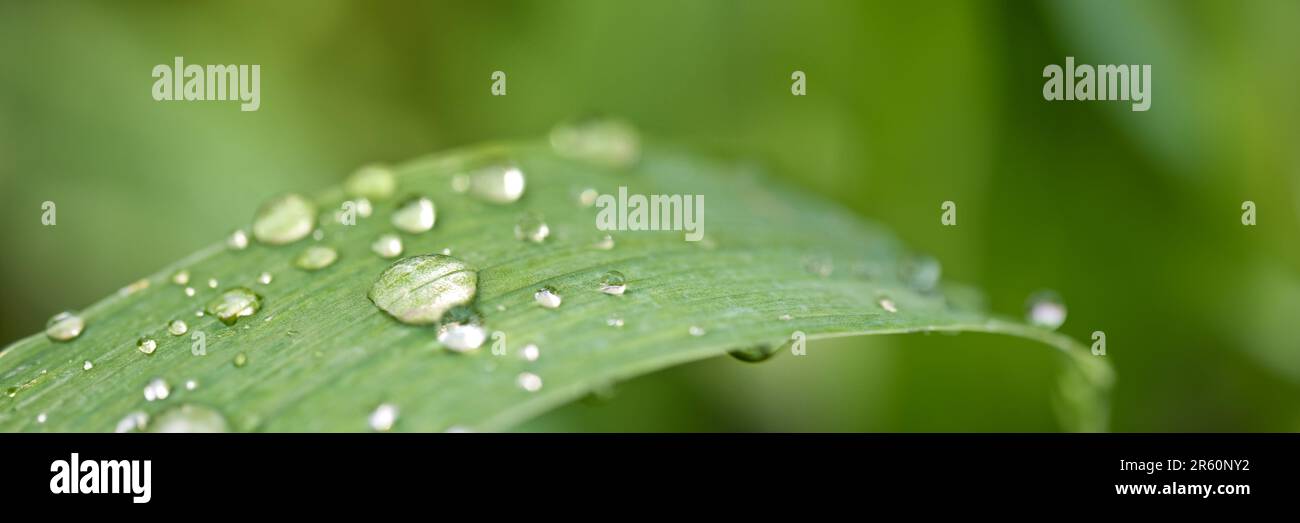 Panoramic nature hi-res stock photography and images - Alamy