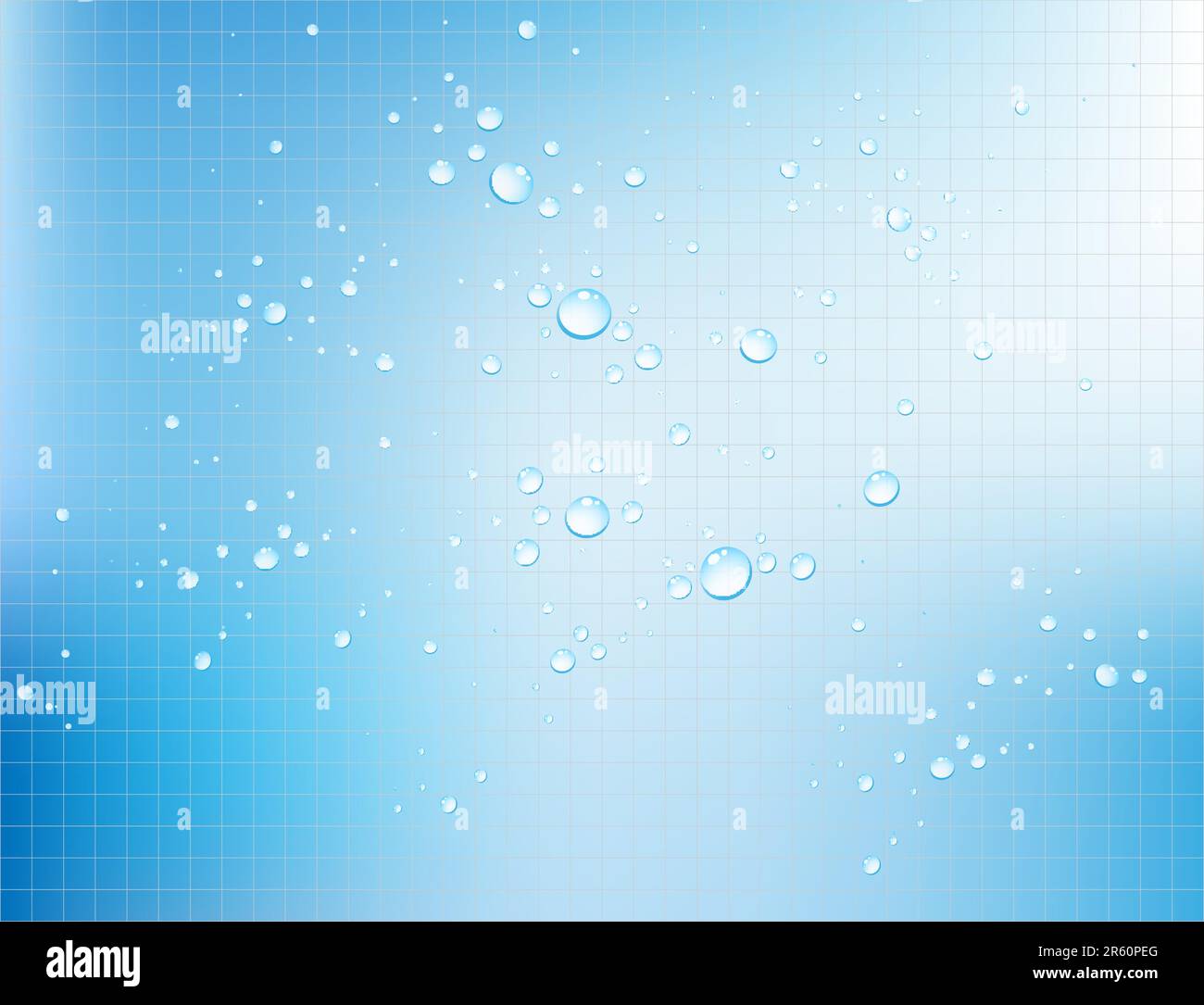 Vector water bubbles on textured background easy to edit vector EPS