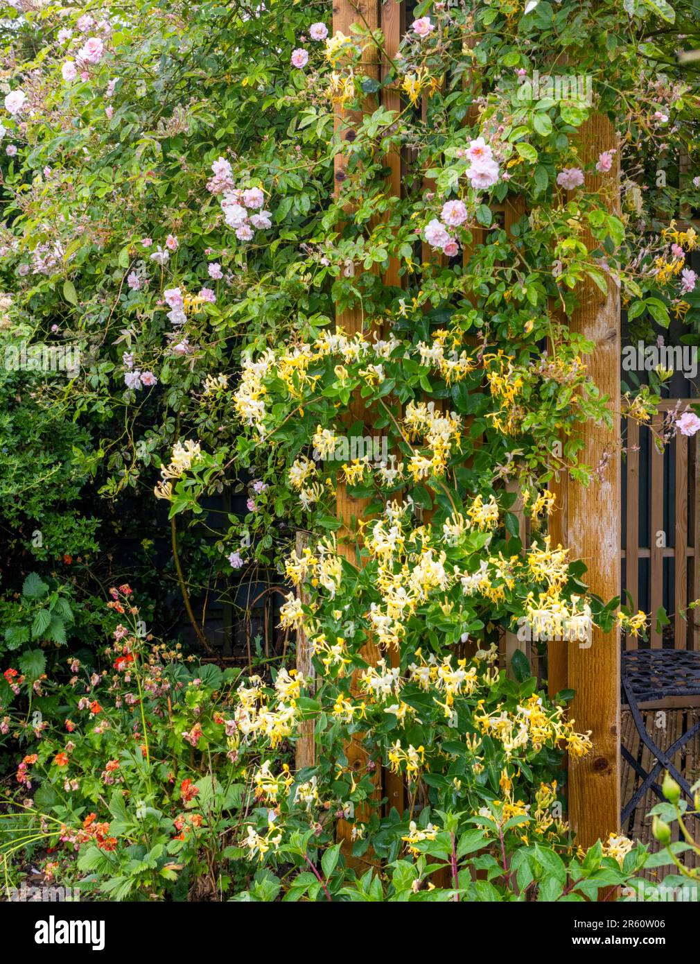 Wooden pergola pergolas hires stock photography and images Alamy