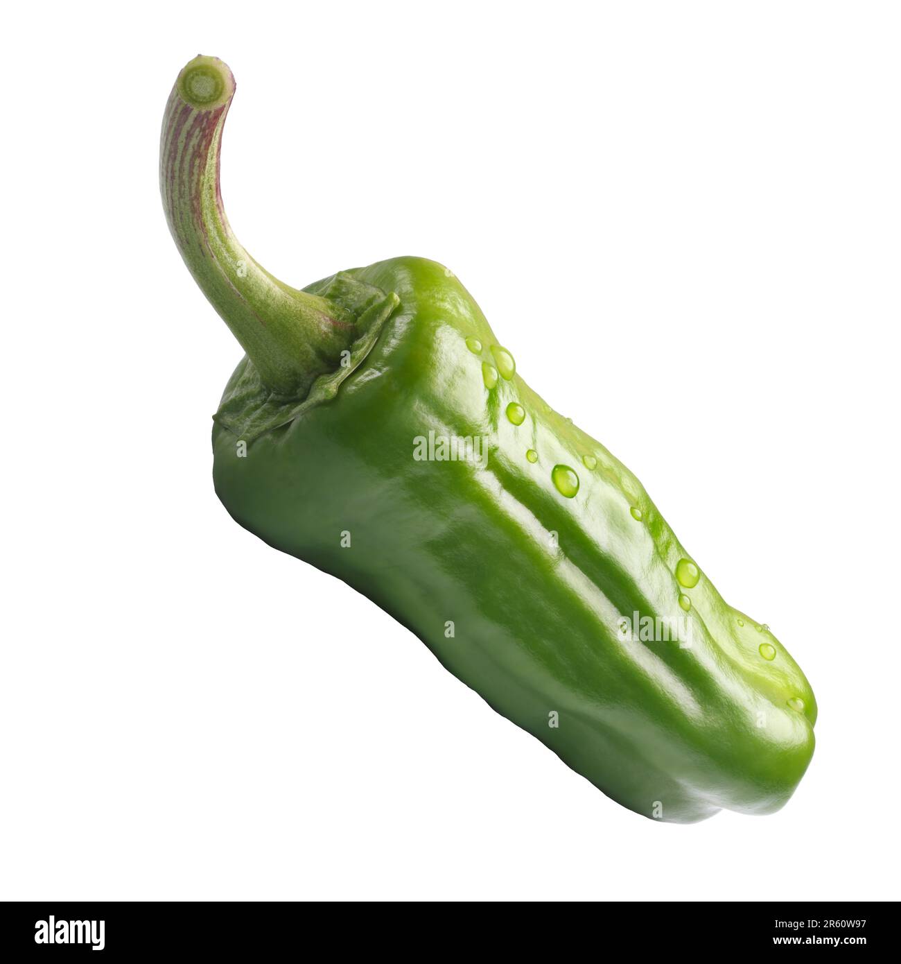 Hot chili pepper transparent Stock Photo