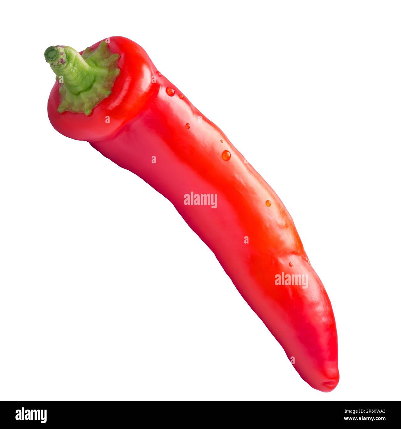 Hot chili pepper transparent Stock Photo