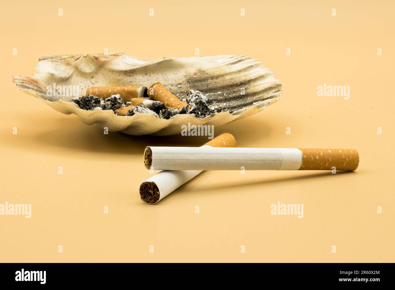 can cigarette lighter used car charger Can You Charge a Car Battery from the Cigarette Lighter?
