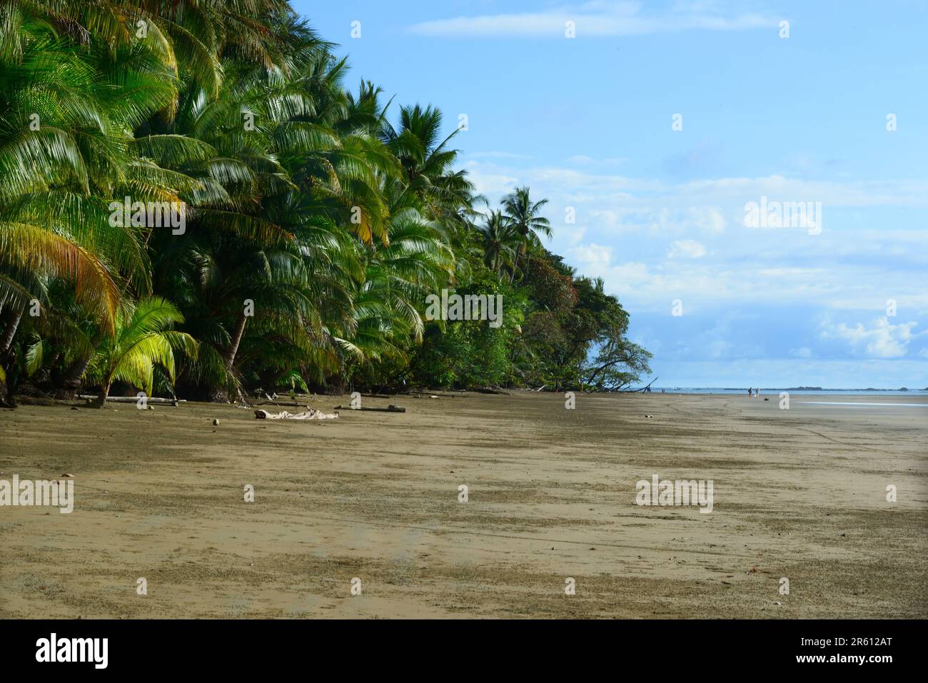 Ballena marine national park costa rica hi-res stock photography and ...