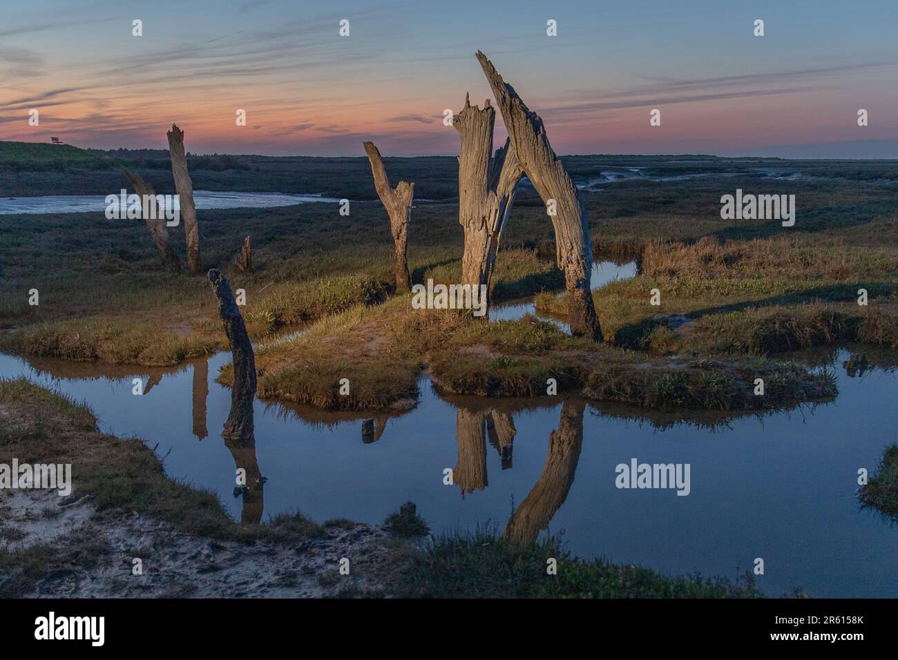 The old tree stump at Blakney on the North Norfolk coast seen at dusk on 25th Aprill 2023. Stock Photo