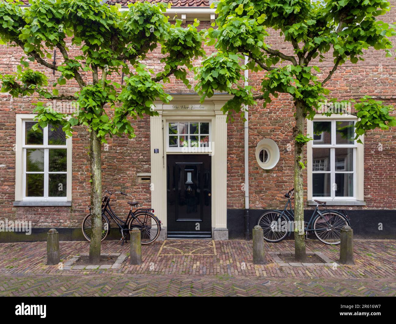 Espalier Lime Trees, or Lindens, outside a wall house in the Dutch city
