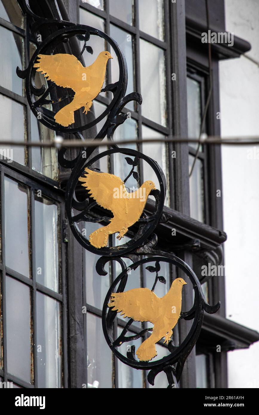 Surrey, UK - April 5th 2023: Pigeons on the exterior of The Three Pigeons public house in the town of Guildford in Surrey, UK. Stock Photo