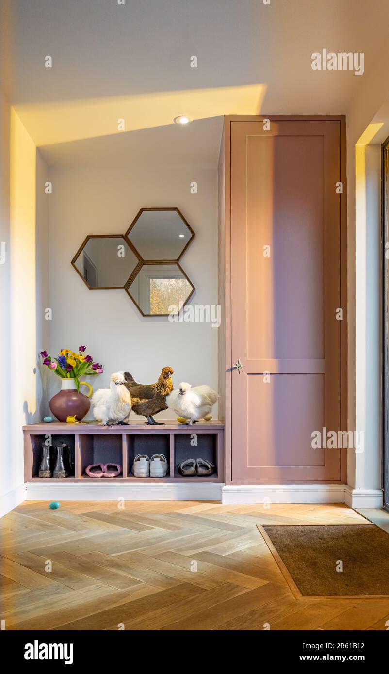 Interior shot of the entrance of a modern house with 3 chickens sitting on a pink painted boot rack. Stock Photo
