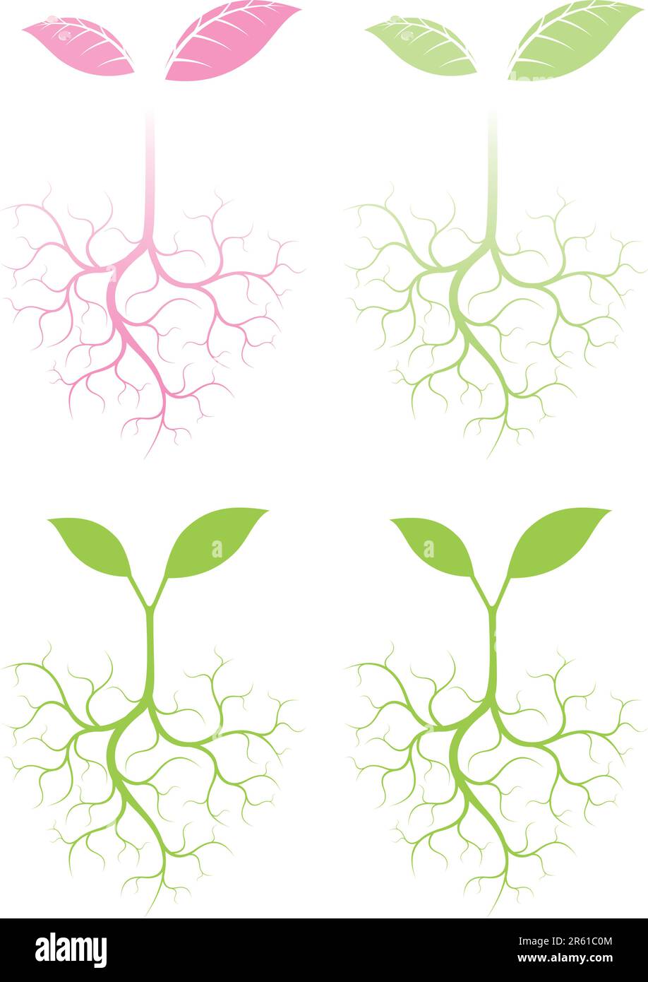 Growing plant Stock Vector Images - Alamy