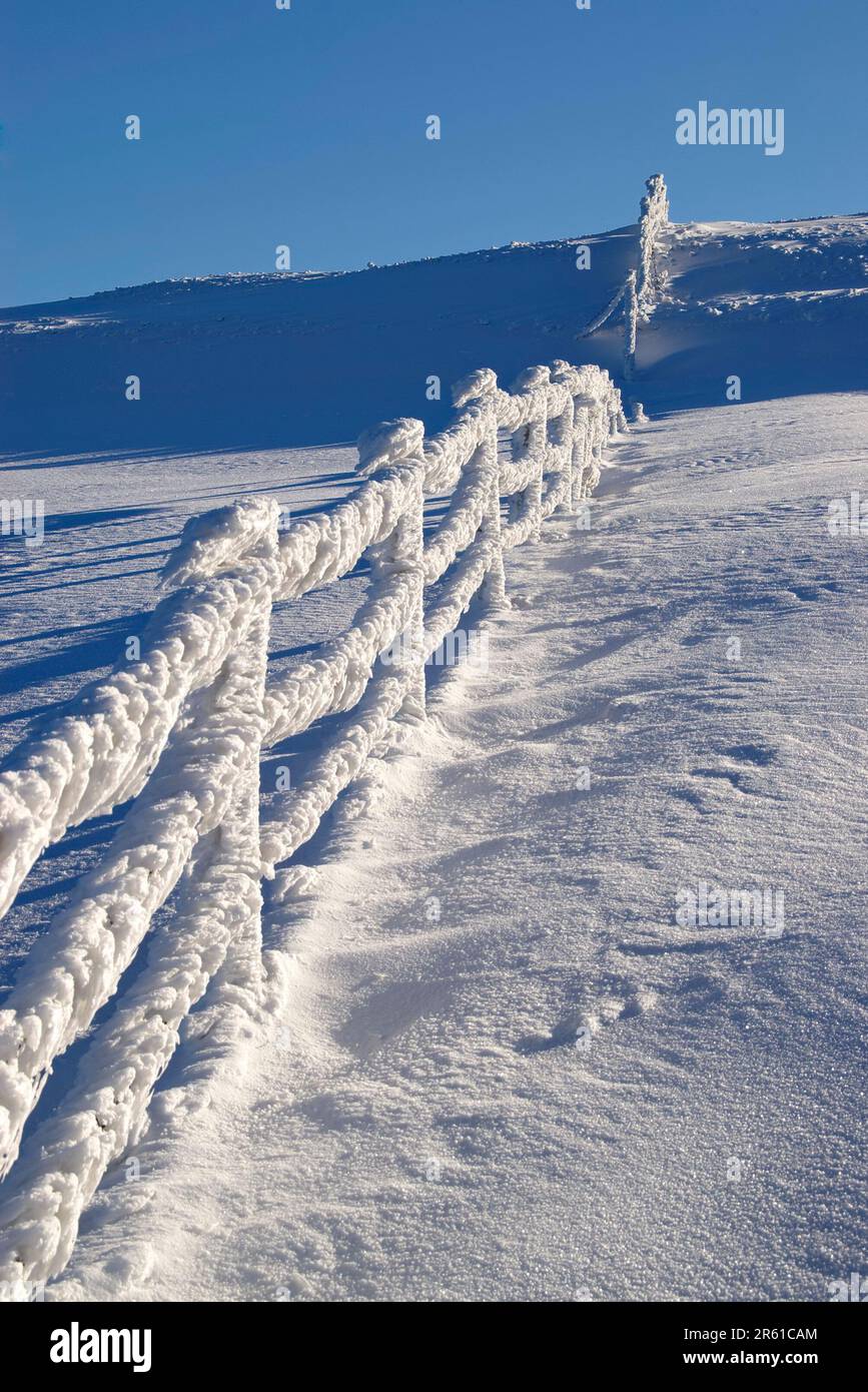 recinzione ghiacciata sul monte Carpegna Stock Photo
