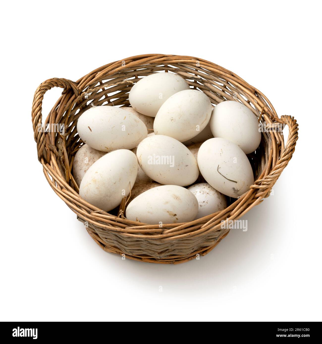 Basket with fresh picked white large goose eggs close up isolated on white background Stock Photo