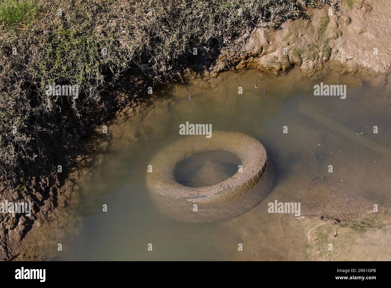 An old tyre which has been dumped in the water of the Thames Estuary in England. Stock Photo