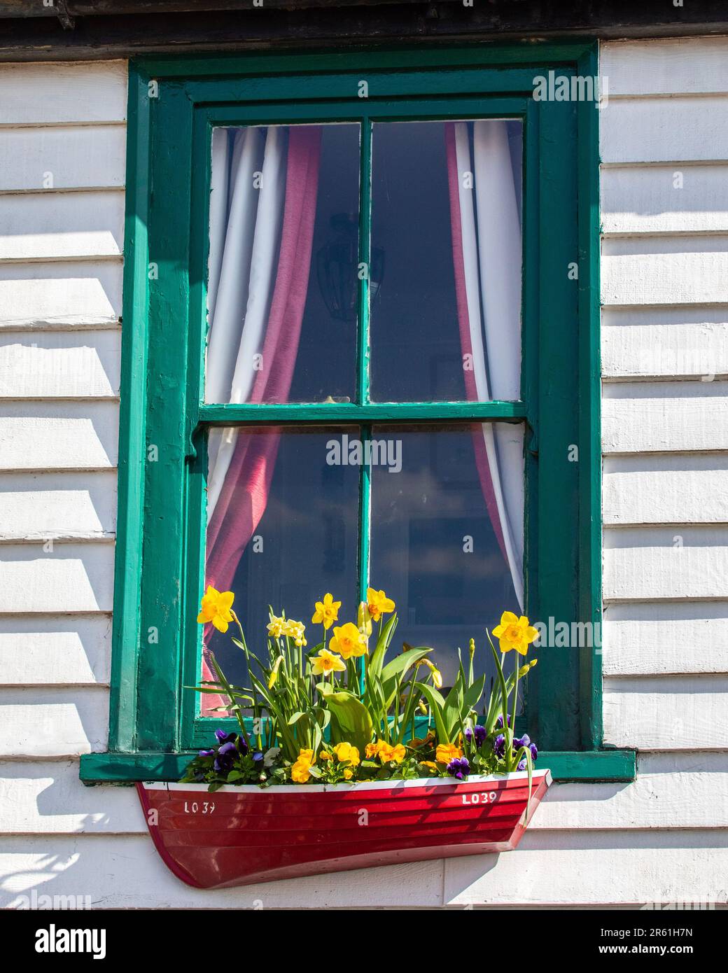 A beautiful boat-shaped window box with Daffodils, on the exterior of a building in Old Leigh, Leigh-on-Sea, Essex. Stock Photo