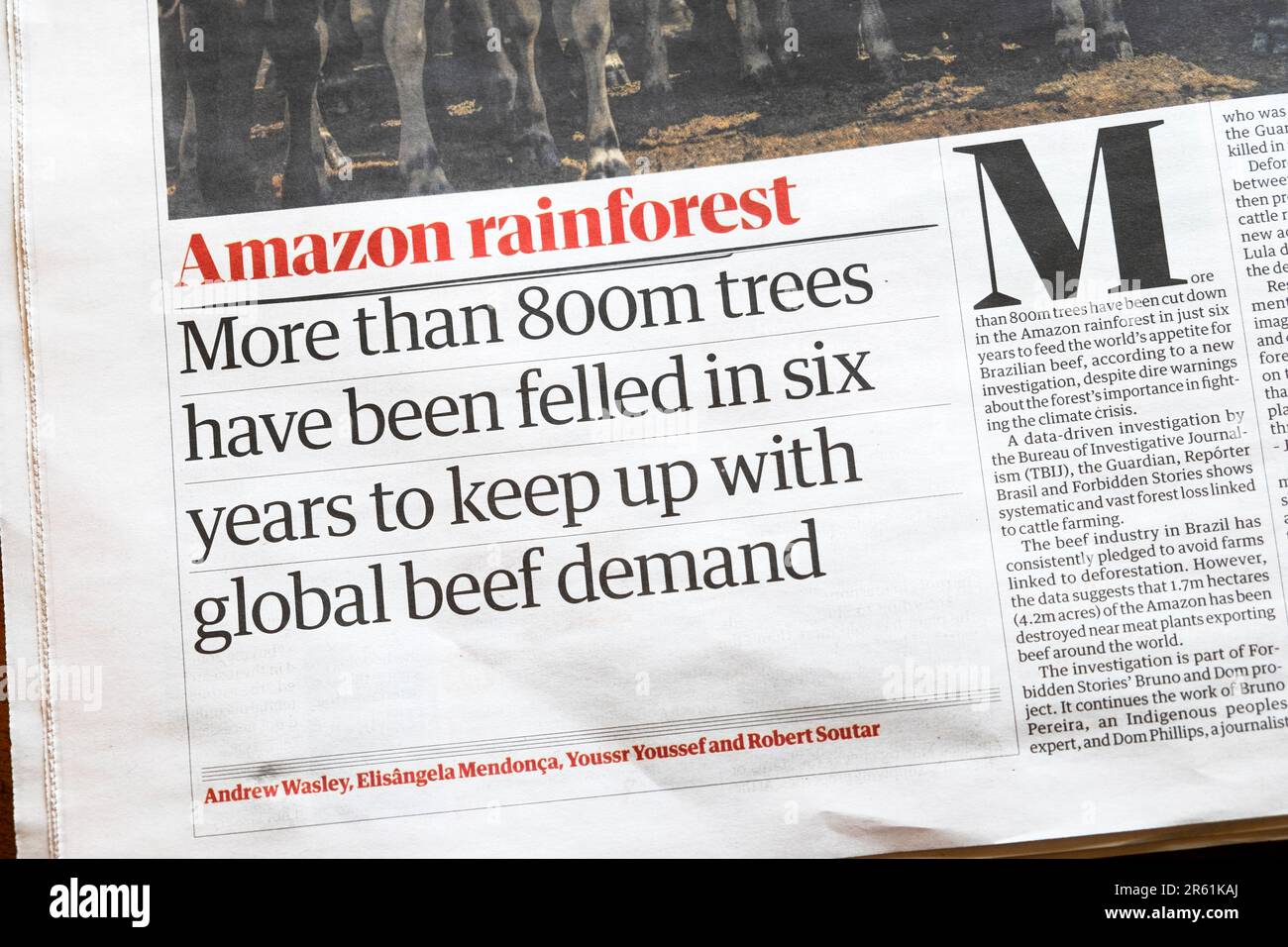 Amazon Rainforest Newspaper Template Teaching Resourc vrogue.co