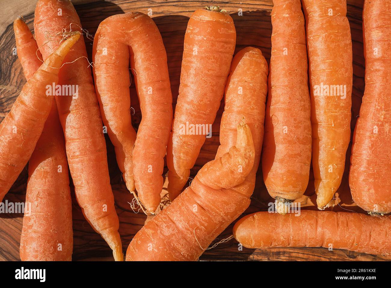 Freshly picked organic carrots on a wooden cutting board, top view, vegan salad preparation Stock Photo