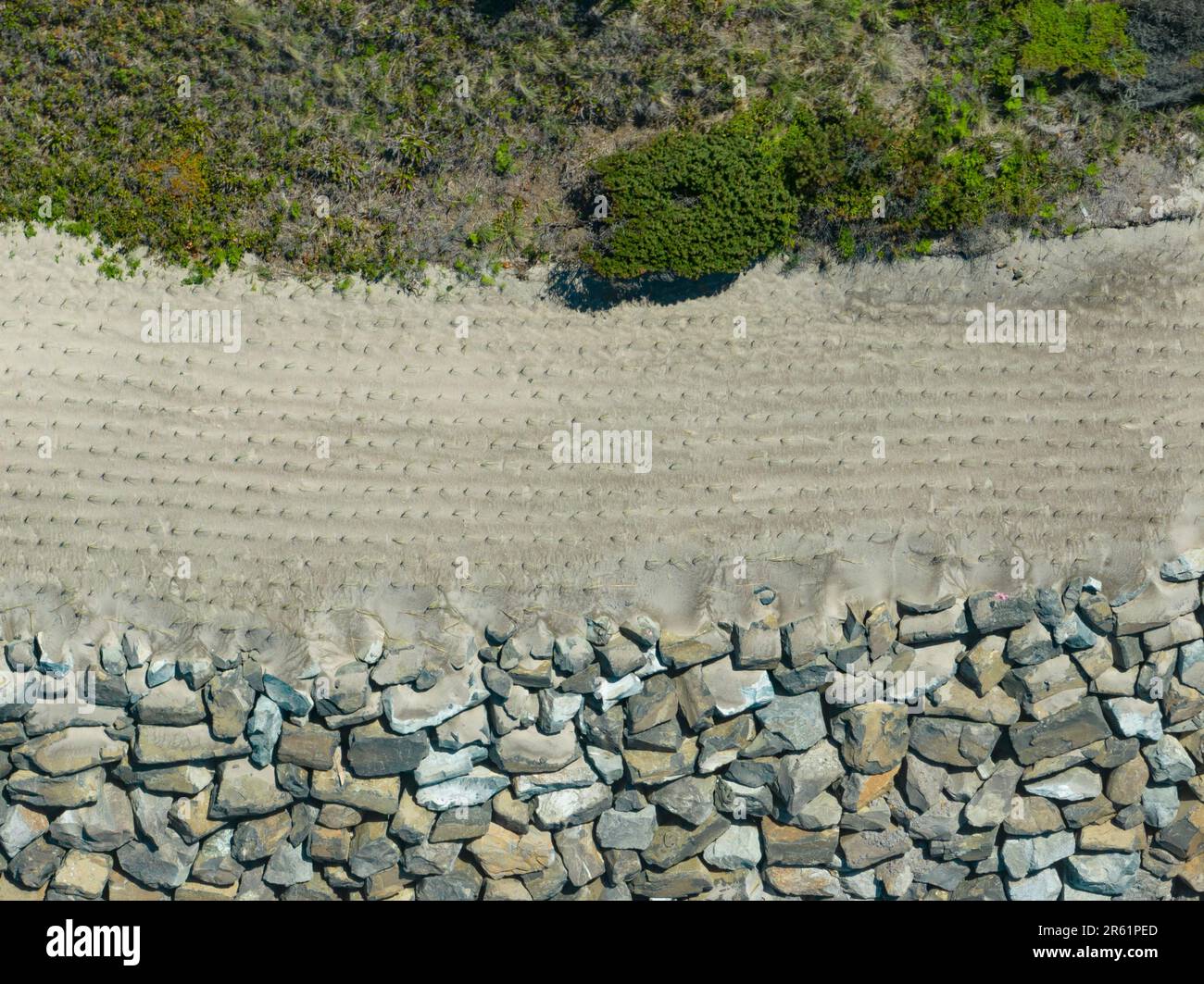 Beach fossil oregon hi-res stock photography and images - Alamy