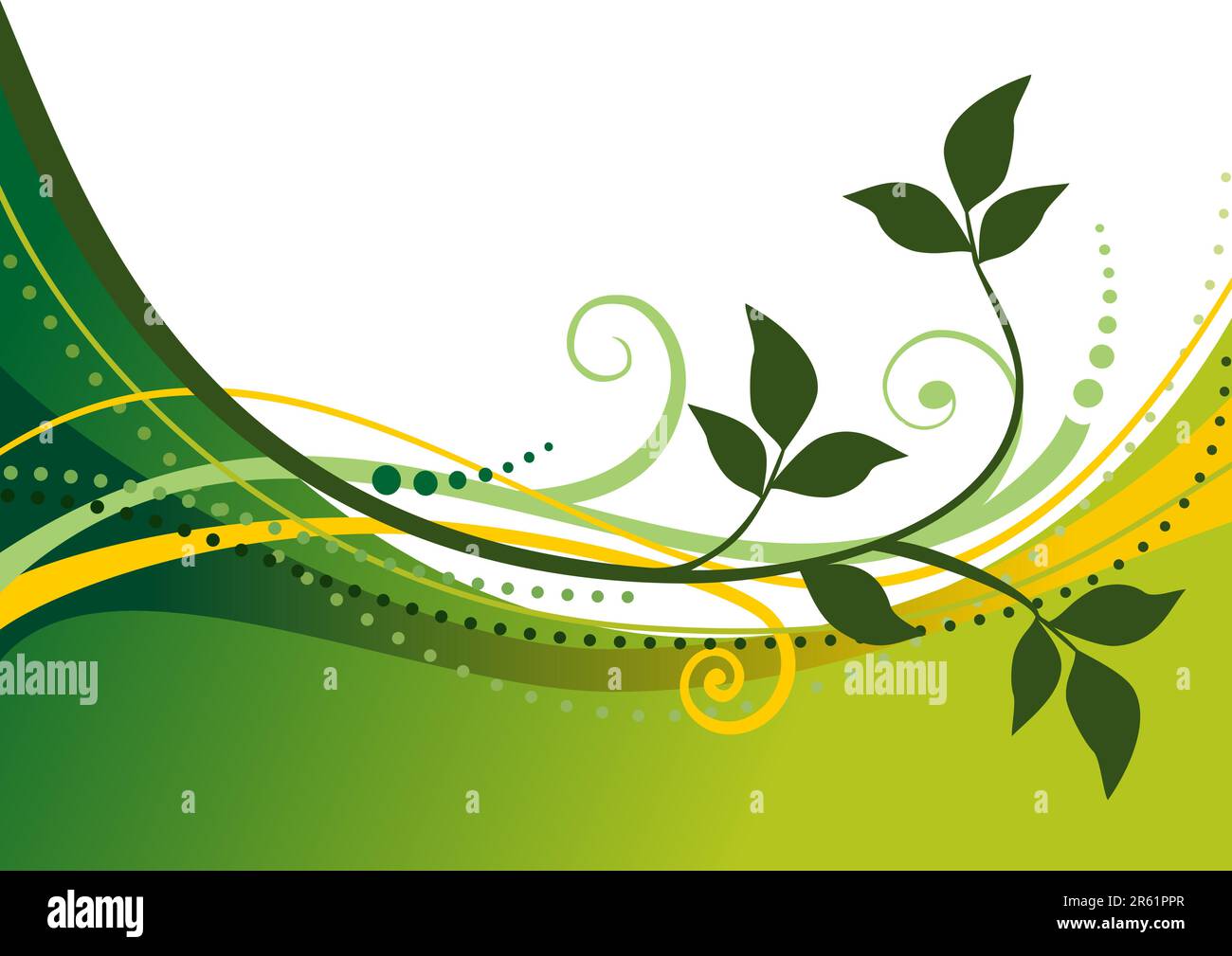 Abstract floral background with a green leafy, vector illustation, JPEG