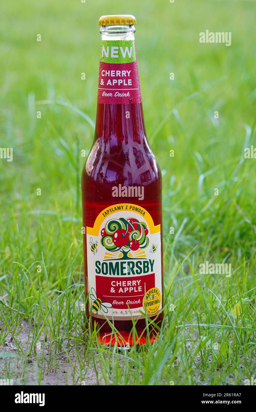 A bottle of sparkling Somersby beer on lush, green grass Stock Photo