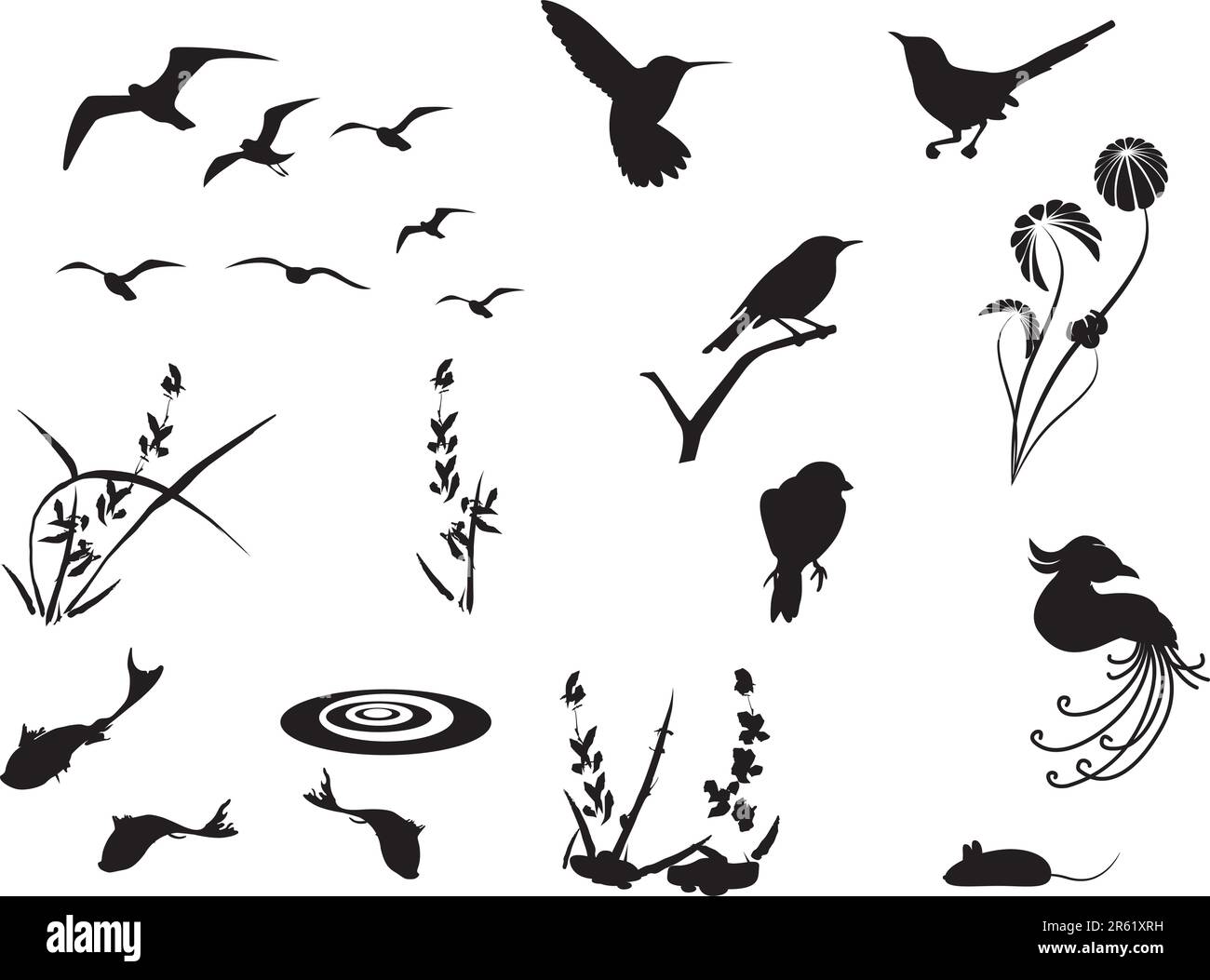 Animal, plant, and floral silhouettes. Stock Vector