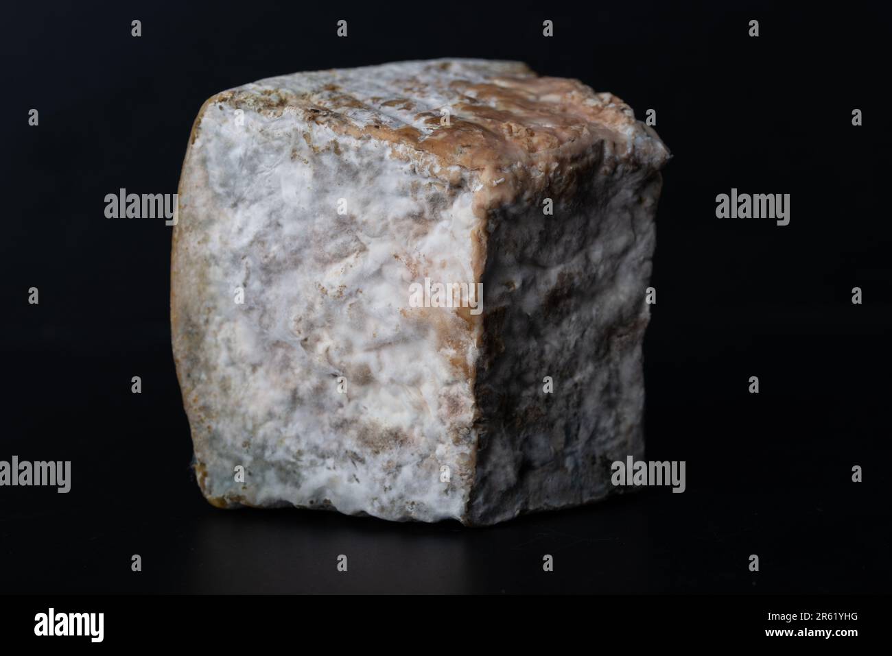 Piece of cheese fermented by bacteria with fungus and mold Stock Photo