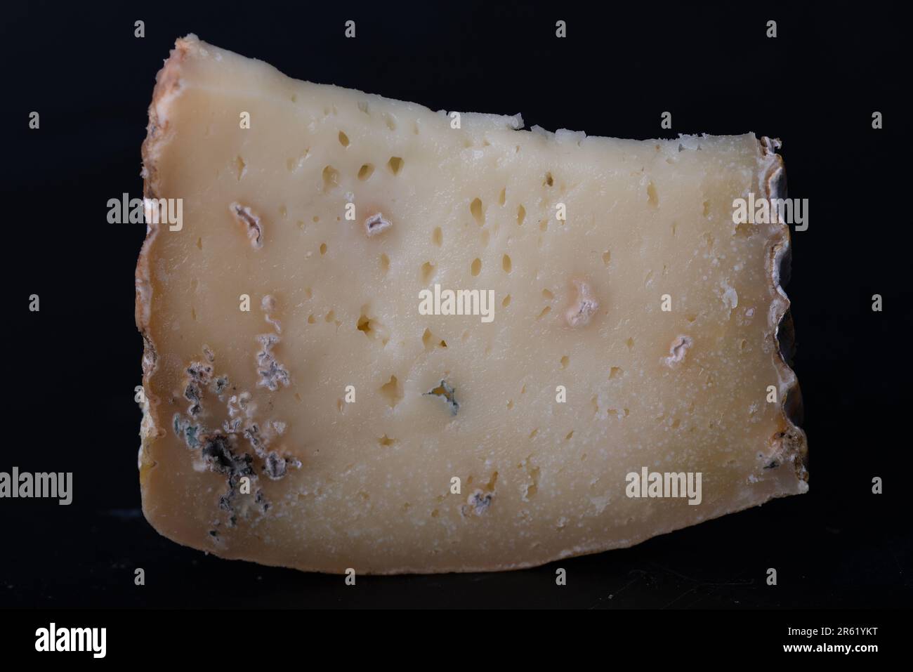 Piece of cheese fermented by bacteria with fungus and mold Stock Photo