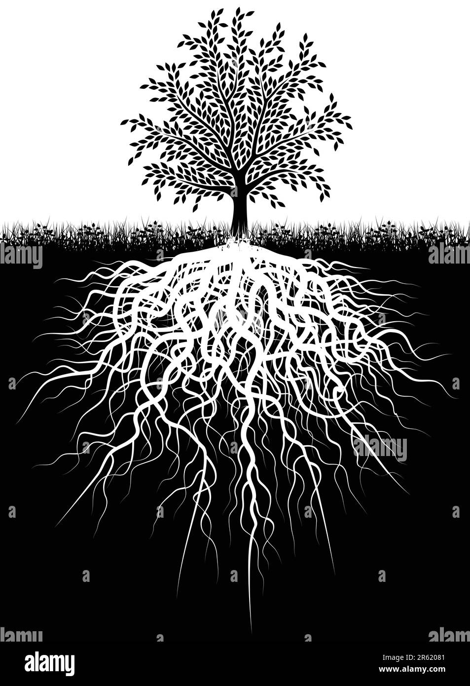 Editable vector illustration of a tree and its roots Stock Vector