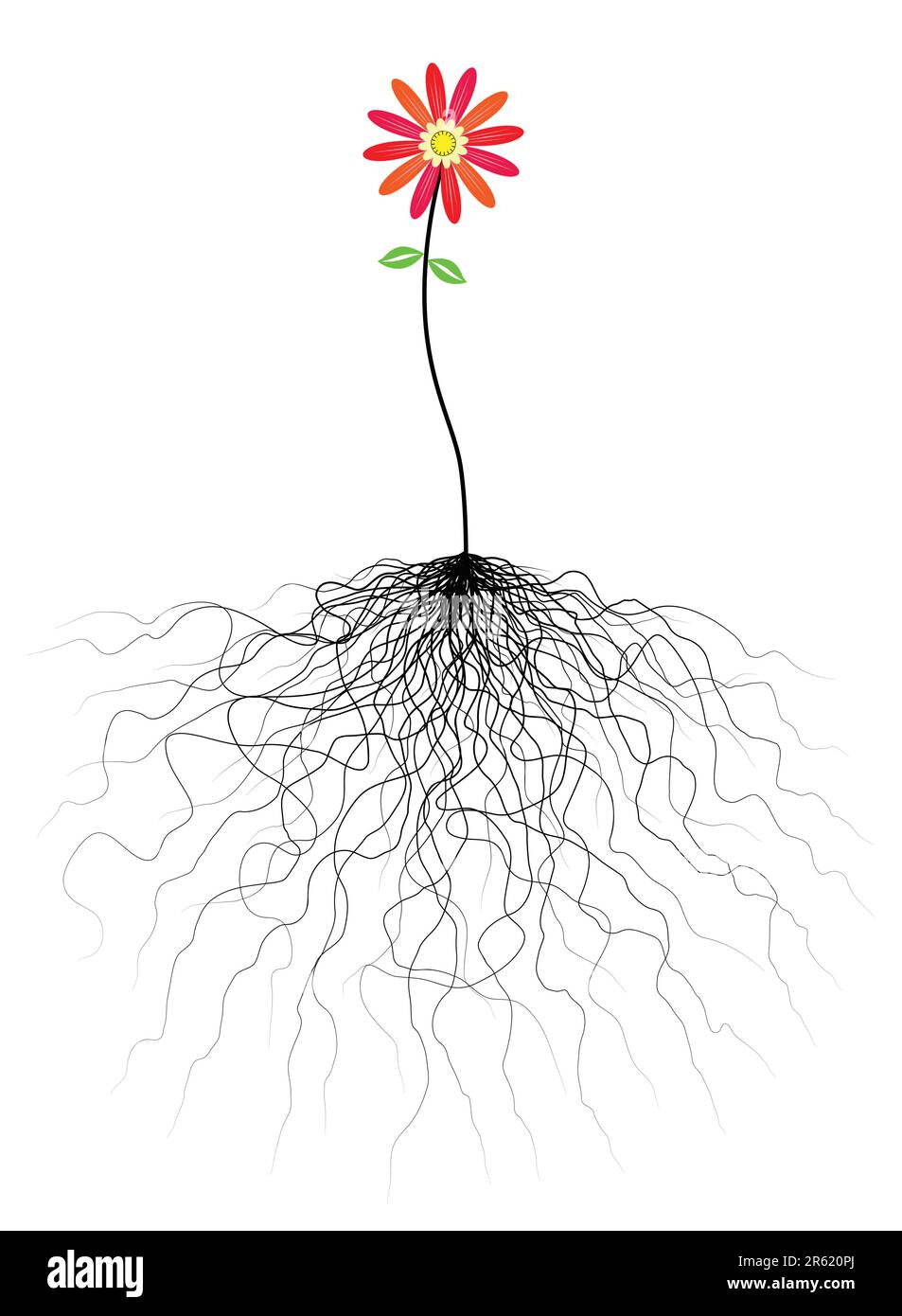 Editable vector flower illustration with tangled roots Stock Vector
