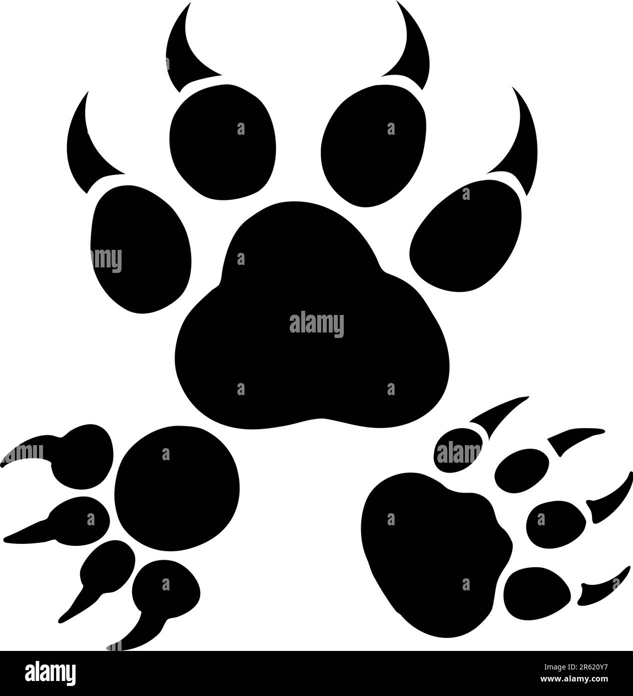 Tiger paw print Black and White Stock Photos & Images - Alamy