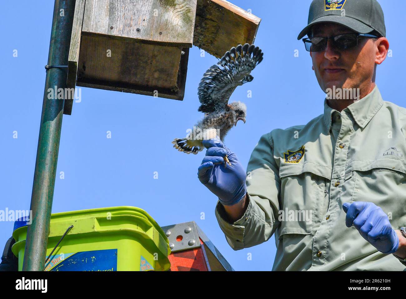 Taylor, United States. 06th June, 2023. A member of the Pennsylvania