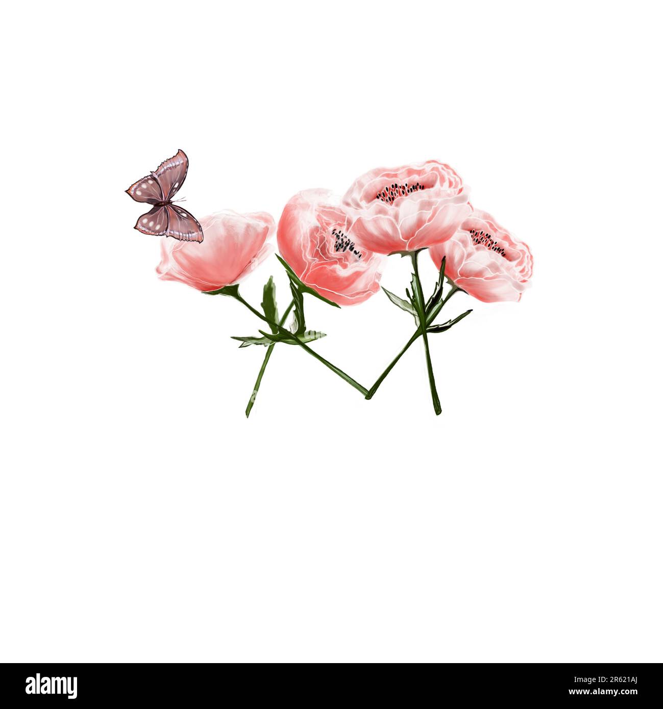 pink flowers, poppies, roses, with a butterfly delicate of detailed watercolor, hand painted wildflowers on white background. Spring and summer bloomi Stock Photo