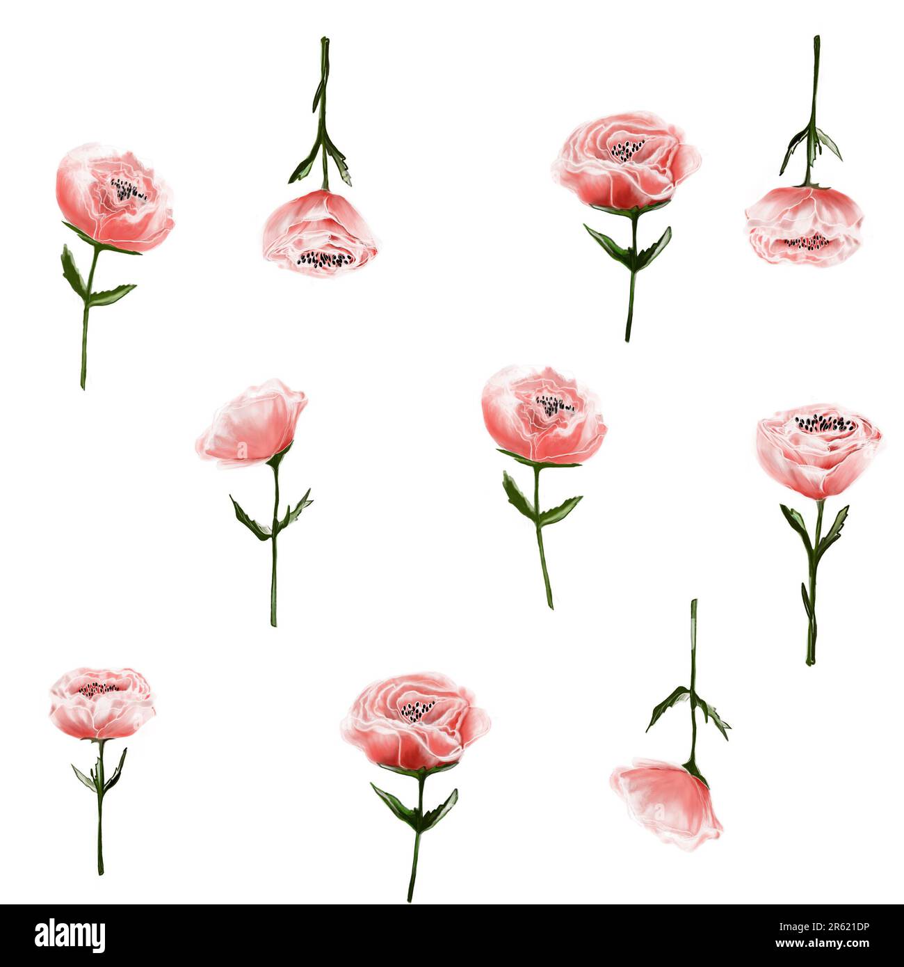 pattern pink flowers, poppies, roses, delicate of detailed watercolor, hand painted wildflowers on white background. Spring and summer blooming plants Stock Photo