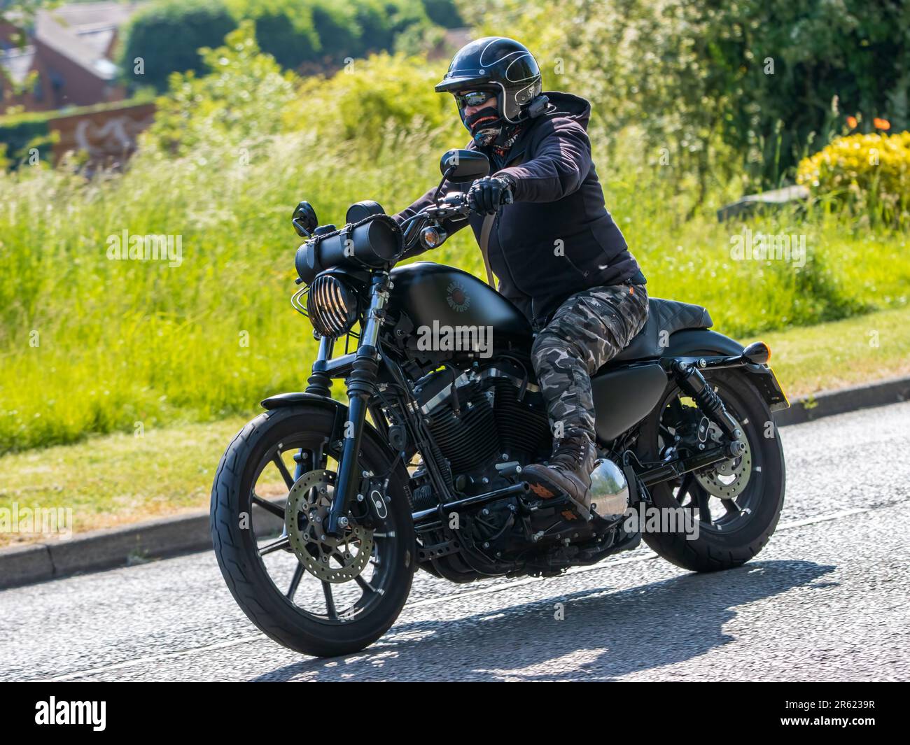 Harley davidson iron 883 hi-res stock photography and images - Alamy