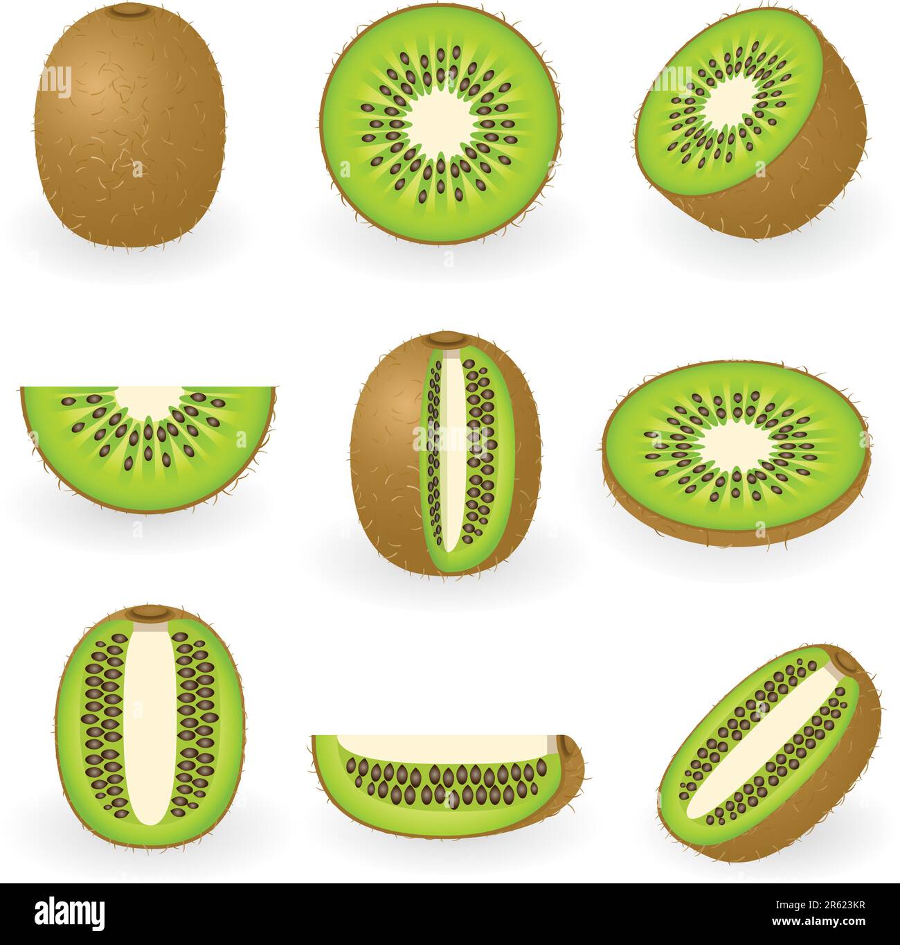 Vector illustration of kiwi fruit Stock Vector