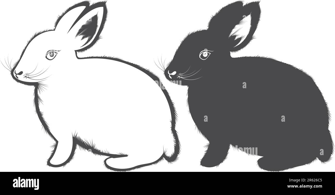 Black Rabbit Patterns Rabbit picture to color hi-res stock photography and images - Alamy